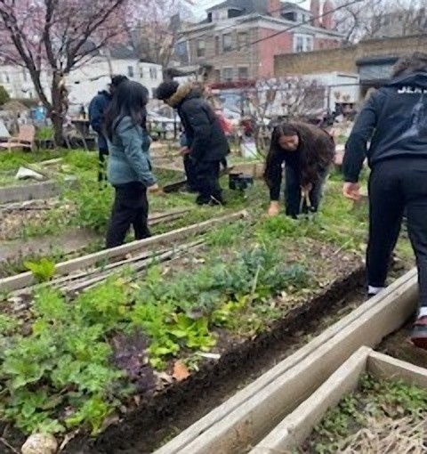 YMCA Community Gardens Project Connects Residents with Nature