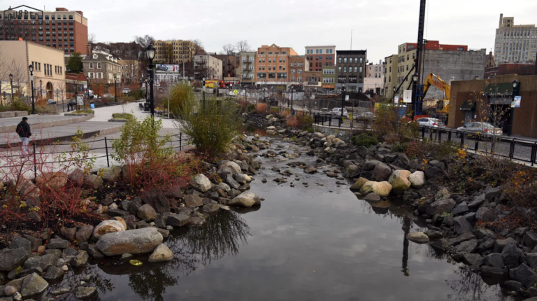 Westchester Community and Advocates Rally to Defend Immigrant Rights