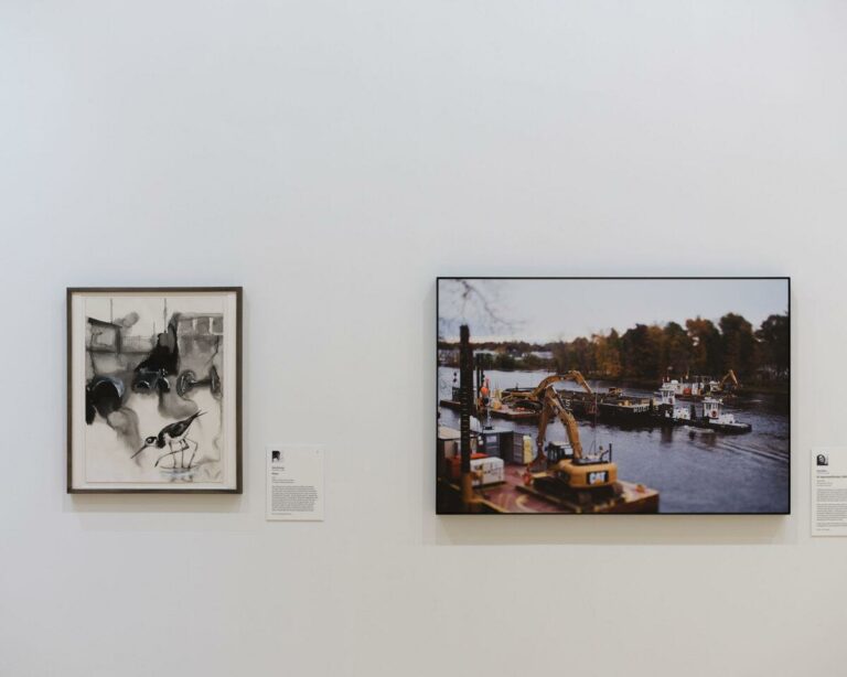 A Conversation with Environmental Artist Susan Wides