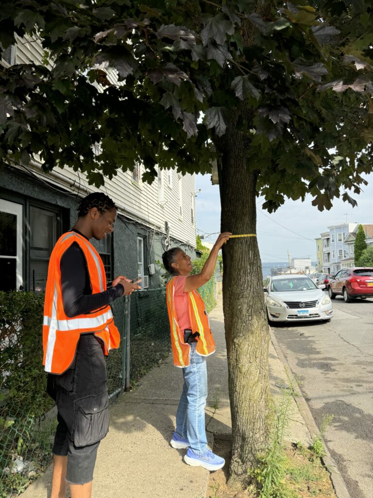 Green Jobs Driving Economic and Climate Resilience in Yonkers