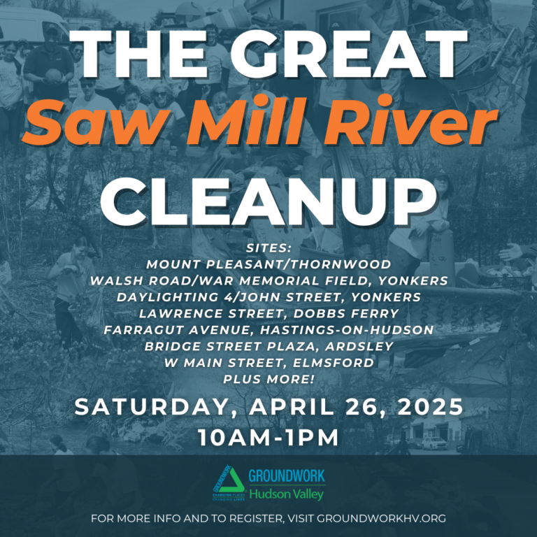 Great Saw Mill River Cleanup: April 26, 2025