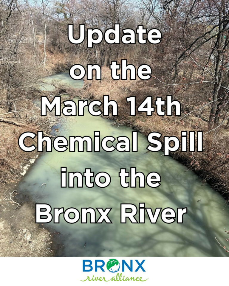 Chemical Spill in Yonkers Impacted the Bronx River